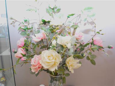 Picture 17